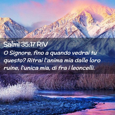 Picture 02 - Salmi 35:17 RIV - O Signore, fino a quando vedrai tu questo? Ritrai - Bible Verse Picture
