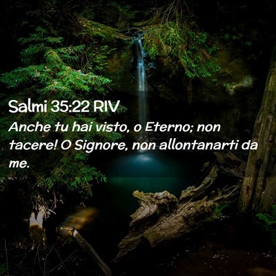 Picture 02 - Salmi 35:22 RIV - Anche tu hai visto, o Eterno; non tacere! O - Bible Verse Picture