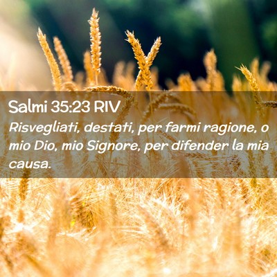 Picture 02 - Salmi 35:23 RIV - Risvegliati, destati, per farmi ragione, o mio - Bible Verse Picture