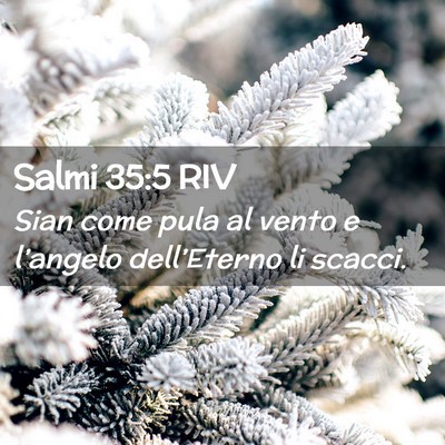 Picture 02 - Salmi 35:5 RIV - Sian come pula al vento e l’angelo - Bible Verse Picture