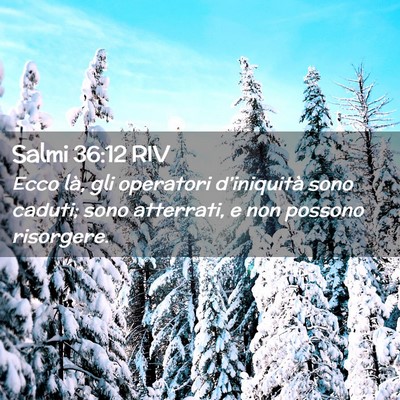 Picture 02 - Salmi 36:12 RIV - Ecco là, gli operatori d’iniquità sono - Bible Verse Picture