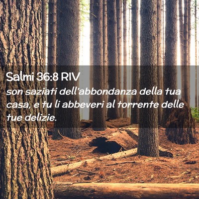 Picture 02 - Salmi 36:8 RIV - son saziati dell’abbondanza della tua casa, e - Bible Verse Picture