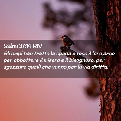 Picture 02 - Salmi 37:14 RIV - Gli empi han tratto la spada e teso il loro arco - Bible Verse Picture