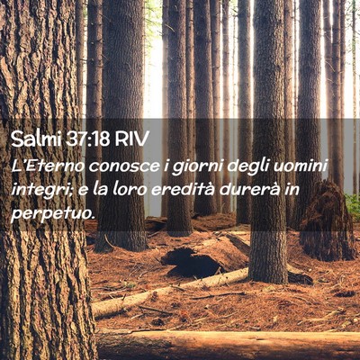 Picture 02 - Salmi 37:18 RIV - L’Eterno conosce i giorni degli uomini integri; - Bible Verse Picture
