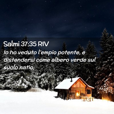 Picture 02 - Salmi 37:35 RIV - Io ho veduto l’empio potente, e distendersi - Bible Verse Picture
