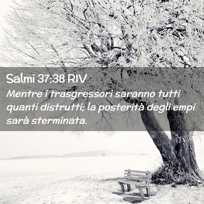 Picture 02 - Salmi 37:38 RIV - Mentre i trasgressori saranno tutti quanti - Bible Verse Picture