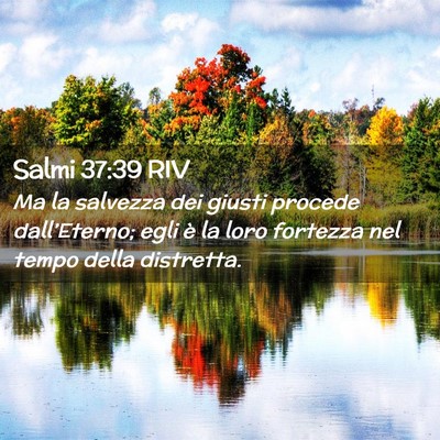 Picture 02 - Salmi 37:39 RIV - Ma la salvezza dei giusti procede dall’Eterno; - Bible Verse Picture