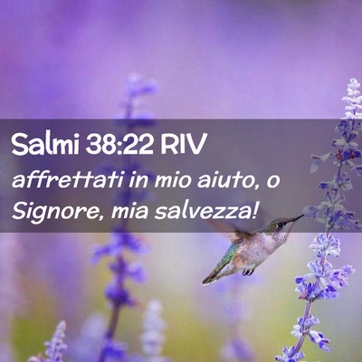 Picture 02 - Salmi 38:22 RIV - affrettati in mio aiuto, o Signore, mia - Bible Verse Picture