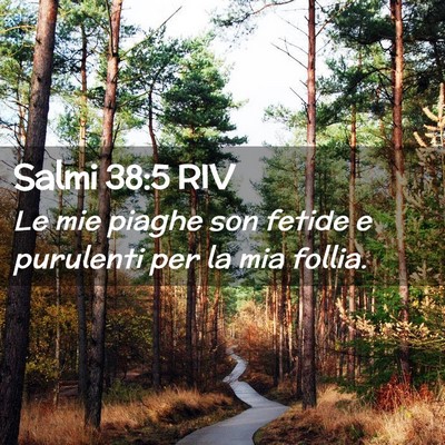 Picture 02 - Salmi 38:5 RIV - Le mie piaghe son fetide e purulenti per la mia - Bible Verse Picture