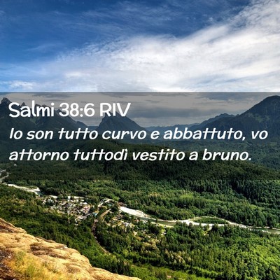 Picture 02 - Salmi 38:6 RIV - Io son tutto curvo e abbattuto, vo attorno - Bible Verse Picture