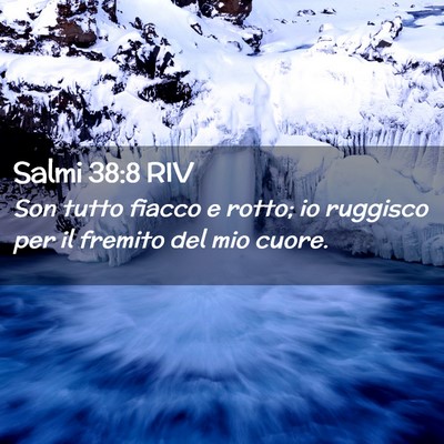Picture 02 - Salmi 38:8 RIV - Son tutto fiacco e rotto; io ruggisco per il - Bible Verse Picture