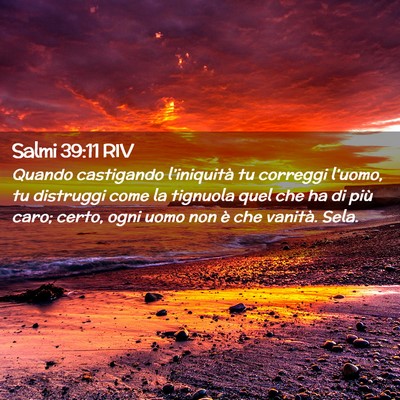 Picture 02 - Salmi 39:11 RIV - Quando castigando l’iniquità tu correggi - Bible Verse Picture