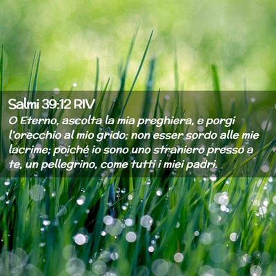 Picture 02 - Salmi 39:12 RIV - O Eterno, ascolta la mia preghiera, e porgi - Bible Verse Picture