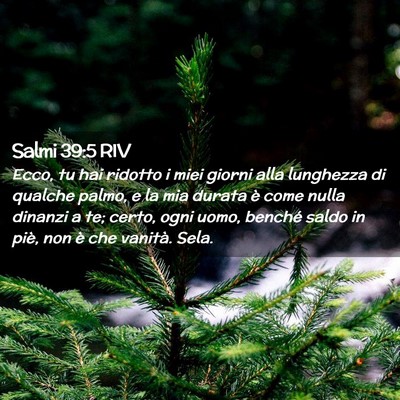 Picture 02 - Salmi 39:5 RIV - Ecco, tu hai ridotto i miei giorni alla lunghezza - Bible Verse Picture