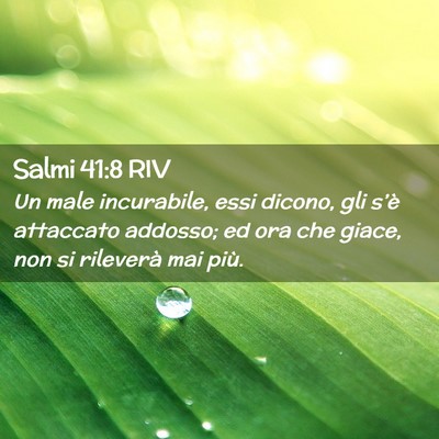 Picture 02 - Salmi 41:8 RIV - Un male incurabile, essi dicono, gli s’è - Bible Verse Picture