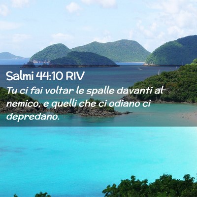Picture 02 - Salmi 44:10 RIV - Tu ci fai voltar le spalle davanti al nemico, e - Bible Verse Picture