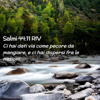 Picture 02 - Salmi 44:11 RIV - Ci hai dati via come pecore da mangiare, e ci hai - Bible Verse Picture