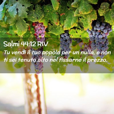 Picture 02 - Salmi 44:12 RIV - Tu vendi il tuo popolo per un nulla, e non ti sei - Bible Verse Picture