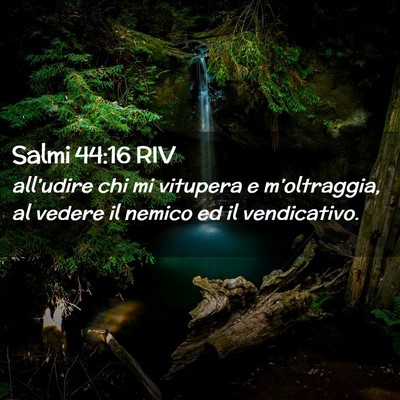 Picture 02 - Salmi 44:16 RIV - all’udire chi mi vitupera e m’oltraggia, al - Bible Verse Picture