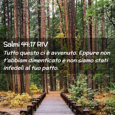 Picture 02 - Salmi 44:17 RIV - Tutto questo ci è avvenuto. Eppure non - Bible Verse Picture
