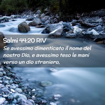 Picture 02 - Salmi 44:20 RIV - Se avessimo dimenticato il nome del nostro Dio, e - Bible Verse Picture