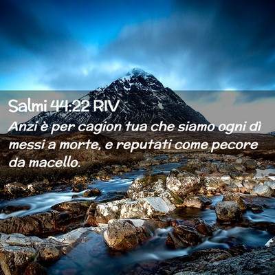 Picture 02 - Salmi 44:22 RIV - Anzi è per cagion tua che siamo ogni dì messi a - Bible Verse Picture