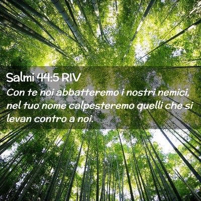 Picture 02 - Salmi 44:5 RIV - Con te noi abbatteremo i nostri nemici, nel tuo - Bible Verse Picture