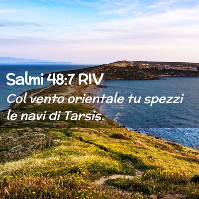 Picture 02 - Salmi 48:7 RIV - Col vento orientale tu spezzi le navi di - Bible Verse Picture