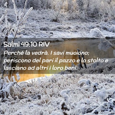 Picture 02 - Salmi 49:10 RIV - Perché la vedrà. I savi muoiono; periscono del - Bible Verse Picture