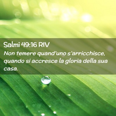 Picture 02 - Salmi 49:16 RIV - Non temere quand’uno s’arricchisce, quando si - Bible Verse Picture
