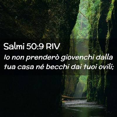Picture 02 - Salmi 50:9 RIV - Io non prenderò giovenchi dalla tua casa né - Bible Verse Picture