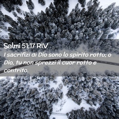 Picture 02 - Salmi 51:17 RIV - I sacrifizi di Dio sono lo spirito rotto; o Dio, - Bible Verse Picture