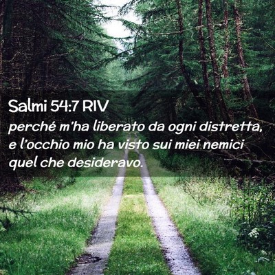 Picture 02 - Salmi 54:7 RIV - perché m’ha liberato da ogni distretta, e - Bible Verse Picture