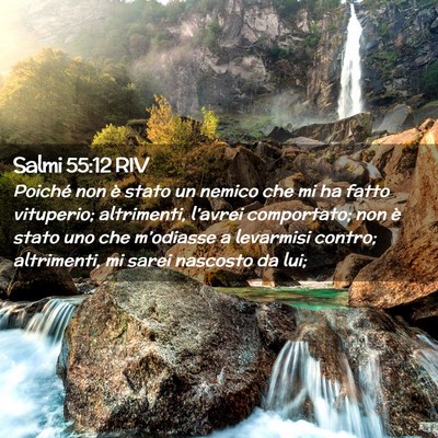 Picture 02 - Salmi 55:12 RIV - Poiché non è stato un nemico che mi ha fatto - Bible Verse Picture