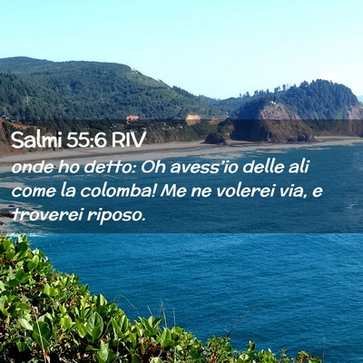 Picture 02 - Salmi 55:6 RIV - onde ho detto: Oh avess’io delle ali come la - Bible Verse Picture