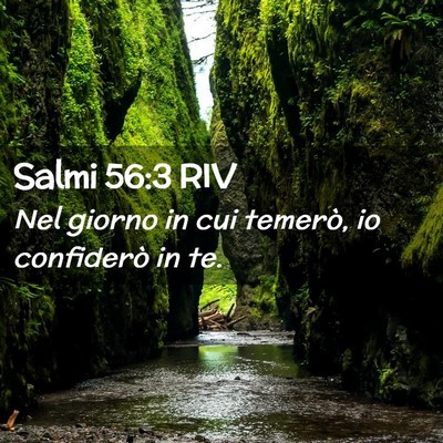 Picture 02 - Salmi 56:3 RIV - Nel giorno in cui temerò, io confiderò in - Bible Verse Picture