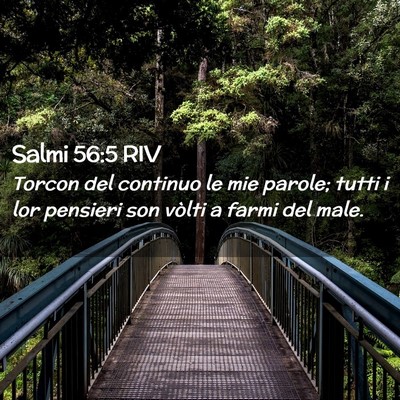 Picture 02 - Salmi 56:5 RIV - Torcon del continuo le mie parole; tutti i lor - Bible Verse Picture