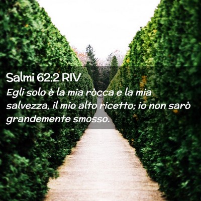 Picture 02 - Salmi 62:2 RIV - Egli solo è la mia ròcca e la mia salvezza, il - Bible Verse Picture