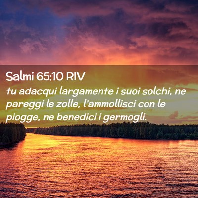 Picture 02 - Salmi 65:10 RIV - tu adacqui largamente i suoi solchi, ne pareggi - Bible Verse Picture