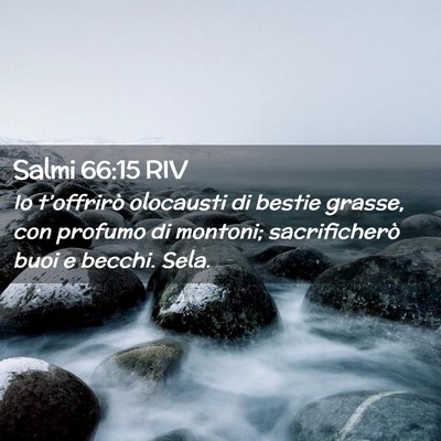 Picture 02 - Salmi 66:15 RIV - Io t’offrirò olocausti di bestie grasse, con - Bible Verse Picture
