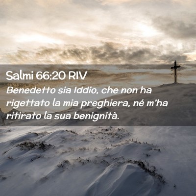 Picture 02 - Salmi 66:20 RIV - Benedetto sia Iddio, che non ha rigettato la mia - Bible Verse Picture