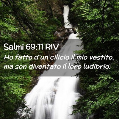 Picture 02 - Salmi 69:11 RIV - Ho fatto d’un cilicio il mio vestito, ma son - Bible Verse Picture