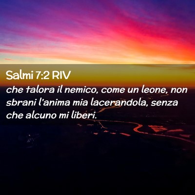 Picture 02 - Salmi 7:2 RIV - che talora il nemico, come un leone, non sbrani - Bible Verse Picture
