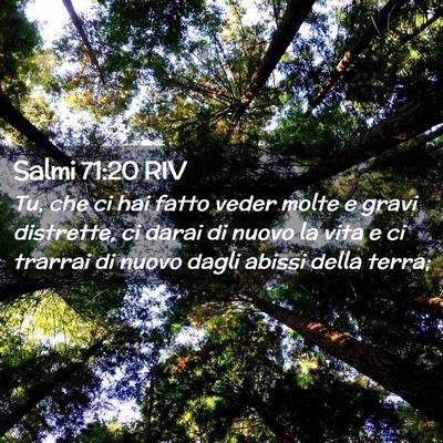 Picture 02 - Salmi 71:20 RIV - Tu, che ci hai fatto veder molte e gravi - Bible Verse Picture