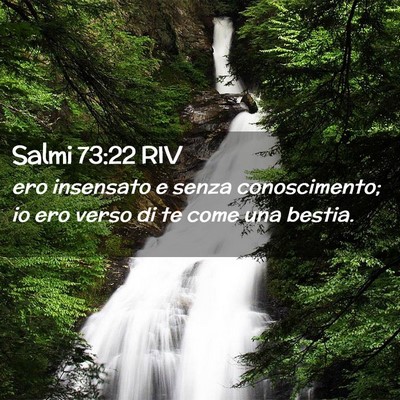 Picture 02 - Salmi 73:22 RIV - ero insensato e senza conoscimento; io ero verso - Bible Verse Picture