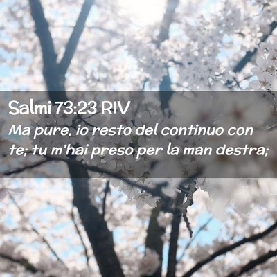 Picture 02 - Salmi 73:23 RIV - Ma pure, io resto del continuo con te; tu m’hai - Bible Verse Picture