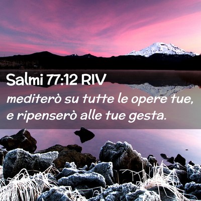Picture 02 - Salmi 77:12 RIV - mediterò su tutte le opere tue, e ripenserò - Bible Verse Picture