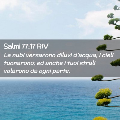 Picture 02 - Salmi 77:17 RIV - Le nubi versarono diluvi d’acqua; i cieli - Bible Verse Picture
