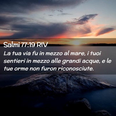 Picture 02 - Salmi 77:19 RIV - La tua via fu in mezzo al mare, i tuoi sentieri - Bible Verse Picture