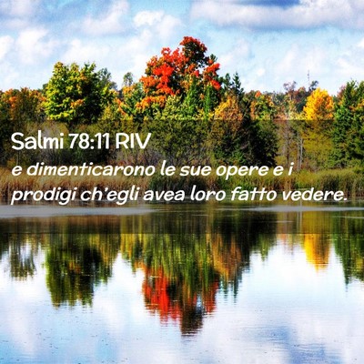 Picture 02 - Salmi 78:11 RIV - e dimenticarono le sue opere e i prodigi - Bible Verse Picture